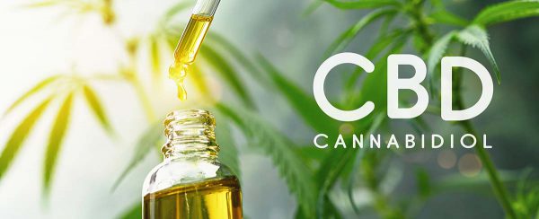 Immagine di olio di CBD con piante di cannabis: simbolo dei benefici naturali e scientifici del cannabidiolo per il benessere.