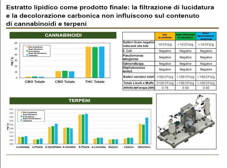 Grafico sull'estratto lipidico: effetti di filtrazione e decolorazione sui cannabinoidi e terpeni, con analisi microbiologica e schema impianto.