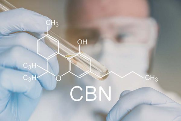 Esplora la scienza dietro il CBN su www.olio-cbn.it: scopri i benefici del nostro Olio di CBN® Special Gold CBD Full Spectrum® per un benessere supportato dalla ricerca.